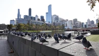 Health &amp; WellbeingMelbourne townhouse forced to isolate
