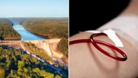 Almost all Aussies now living with forever chemicals inside them