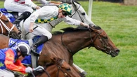 Sad news suddenly ends much-loved $6m winner’s career