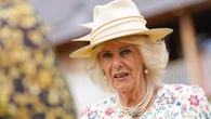 Camilla fought off attempted assault as a teen, new book claims