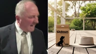 One Nation capitalises on Joyce’s viral moment