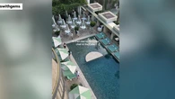 Internet erupts over ‘gross’ hotel sunbed situation