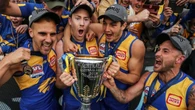 AFL premiership hero’s career comes to sad end
