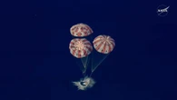 Astronauts splash down after record-breaking moon mission