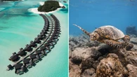 Why the Maldives is more than just a honeymoon destination