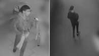 CCTV captures violent prowler terrorising Sydney suburbs