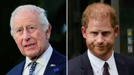 ‘It’s a mess’: Harry and Charles at war over peace plans