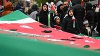 Police take pro-Palestine protesters to court