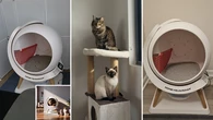 Revealed: The cleaning essential that all fur parents need in their households