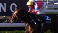 Beloved champion sprinter dies aged 29: ‘A true gentleman’