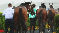 Major chaos hits horse racing after stewards make call on track