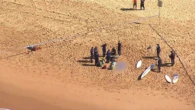 Person attacked by shark at popular Sydney beach