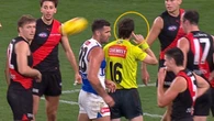 AFL shuts down ‘big brother’ theory but experts still baffled