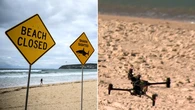 The new AI-powered technology to keep swimmers safe from sharks