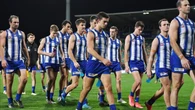 AFLNorth Melbourne find positives in AFL draw