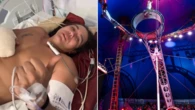 Circus performer plunges seven metres in front of shocked crowd