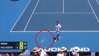 Frustrated tennis star hits spectator with thrown racquet