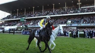 Legendary Australian racehorse passes away aged 19