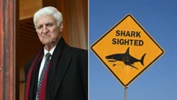 Maverick MP calls for shark cull as grim details of latest attack emerge