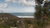 Tragic end in search for missing woman in NSW
