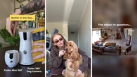 Viral dog camera that calms barking pups is now half price: ‘It gives me peace of mind’