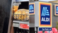 Shoppers horrified as cockroaches crawl all over ALDI shelves