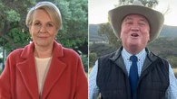 Plibersek’s stunning Joyce claim in clash over One Nation poll surge