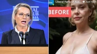 Explicit images posted to Liberal Party’s social media during hack
