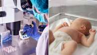 IVF babies twice as likely to suffer heart defects, study finds