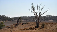 NSW budgets $64m for drought strategy