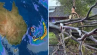 Dozens of schools closed as wild weather hits NSW
