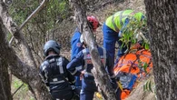 Teen trapped for hours as ute crashes over steep embankment