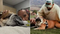 F1 legend mourning death of beloved bulldog