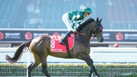 Grahame Begg hoping for Magic end to Sydney autumn carnival