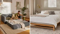 Koala slashes prices of everything online by 25 per cent in massive winter sale