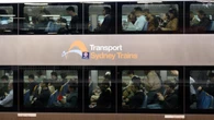 Free travel in Sydney today following week of chaos