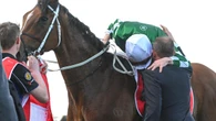 Ominous sign for Cox Plate field as stage set for reigning champ