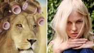 Want Leo-worthy hair? These bestselling buys are your secret to a lion’s mane