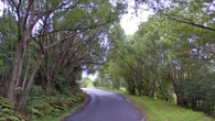 Teen dies in horror crash with tree near Byron Bay