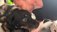 Popular footy family bids emotional farewell to beloved member