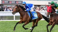 Ciaron Maher weighing up late Cox Plate play with Observer