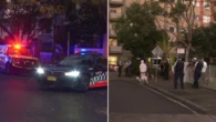 Tragic update for woman hospitalised following alleged DV assault