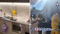 Aussie ‘Breaking Bad’ lab busted with more than 100kg of meth products