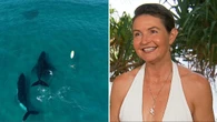 ‘So lucky’: Once-in-a-lifetime experience captured off Gold Coast