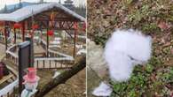 International attraction apologises for bizarre attempt to create fake snow