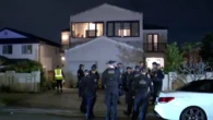 Teenager stabbed with a machete at a house party