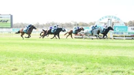 Racing world ‘devastated’ by freak death of much-loved stablehand