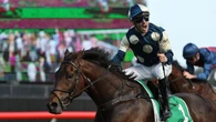 Superstar on notice for Winx Stakes as heavy track looms