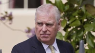 ‘We are in this together’: Andrew to Epstein months after contact ‘ceased’