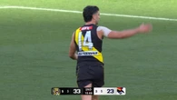 AFL officials stood down as second ‘unbelievable’ error emerges